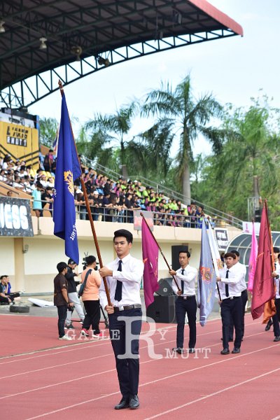 ORN_6726.jpg