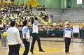 ORN_7832