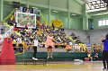 ORN_7870