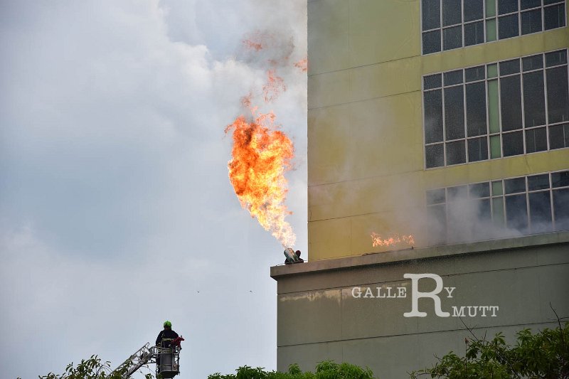 20190607PR01_359.jpg