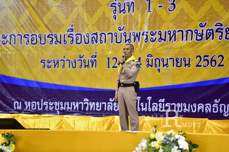 ORN_1171.jpg