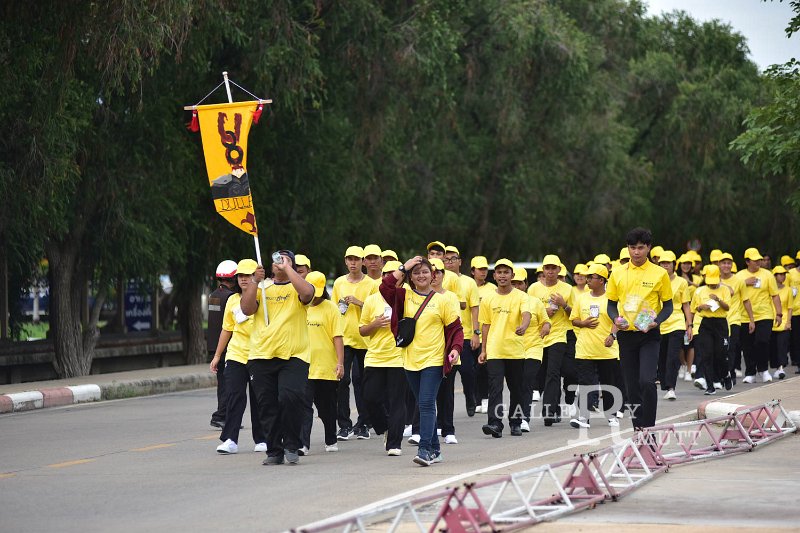 ORN_1284.jpg
