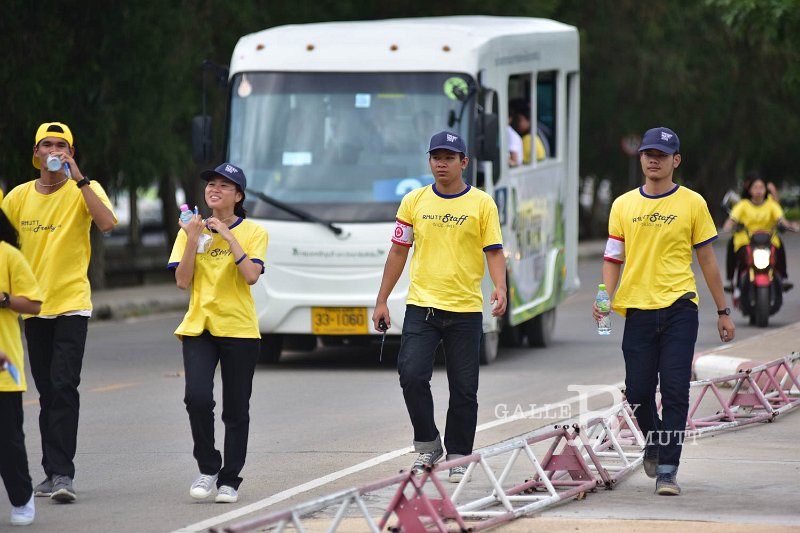 ORN_1309.jpg