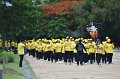 ORN_1210