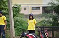 ORN_1263