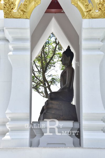 20190910PR01_27.jpg