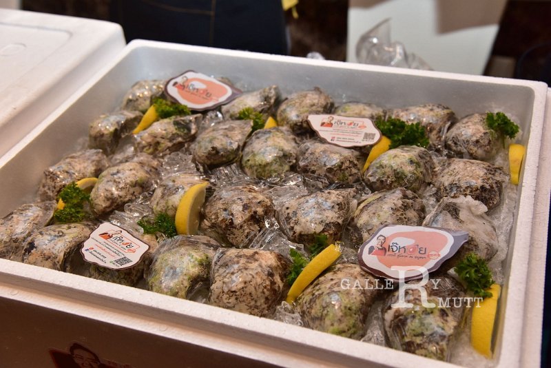 20190925-22.JPG