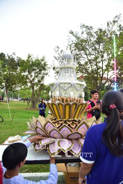 20191111-48.JPG