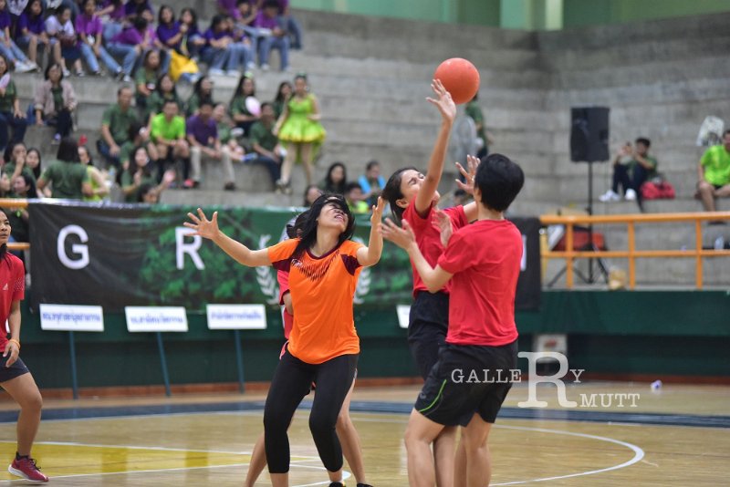 20191226-964.JPG