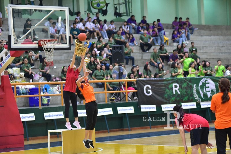 20191226-985.JPG
