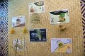 20211101-OpenLearningCenter-019