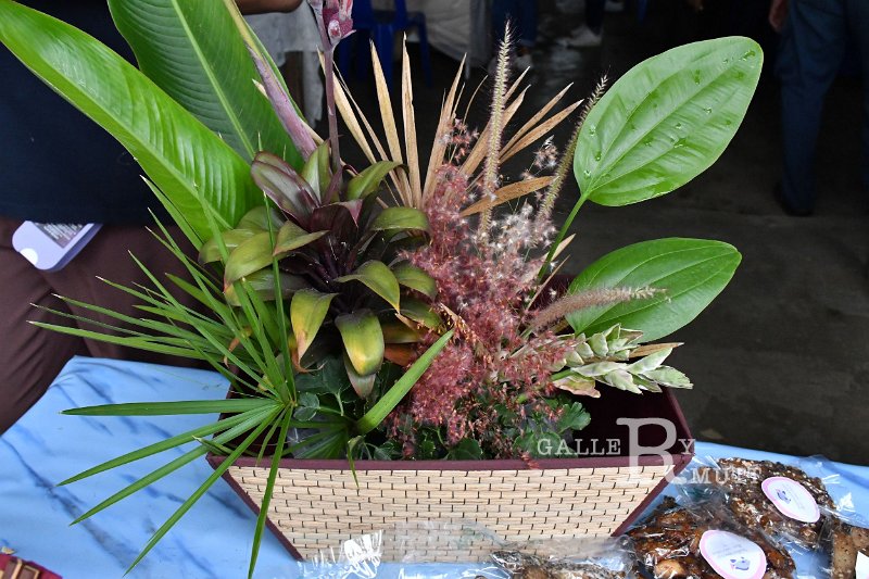 20211123-MatEnterpriset-087.JPG