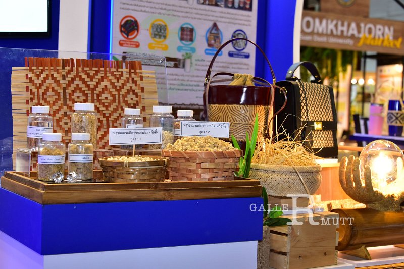 20211123-ThailandResearch-016.JPG