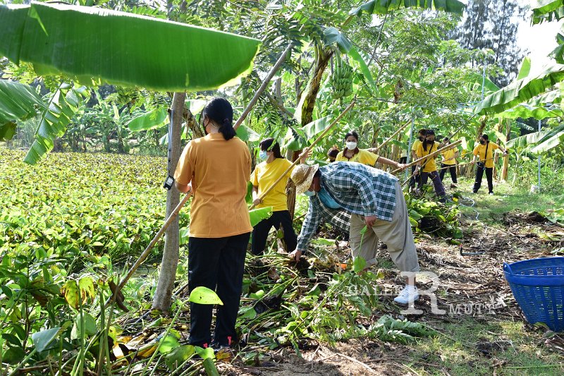 20211203-RmuttVolunteer-058.JPG