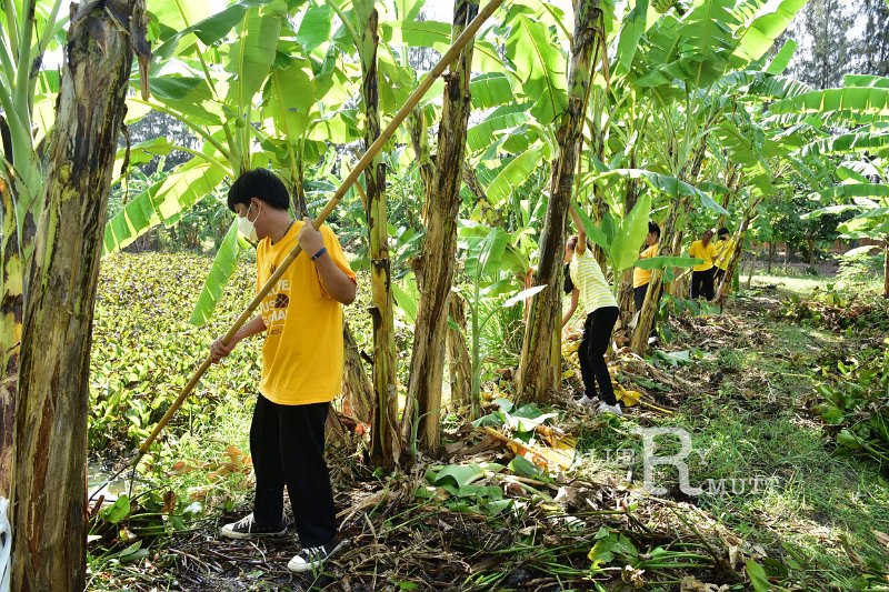 20211203-RmuttVolunteer-064.JPG