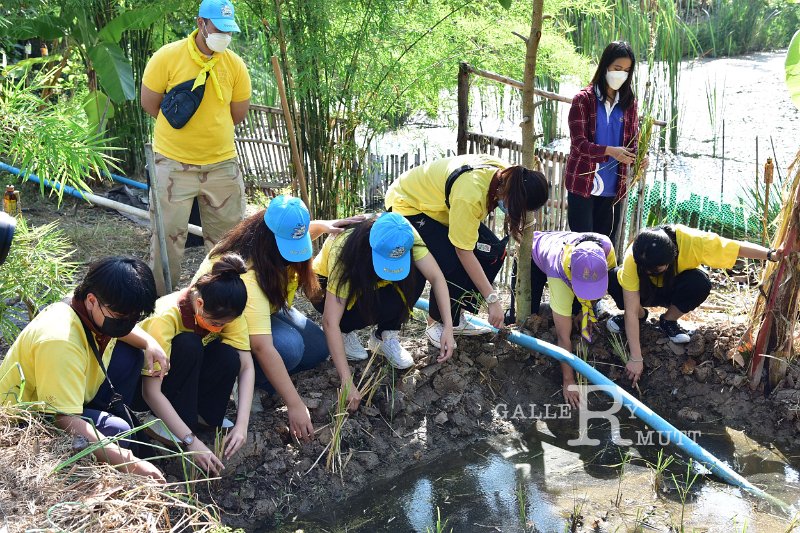 20211203-RmuttVolunteer-072.JPG