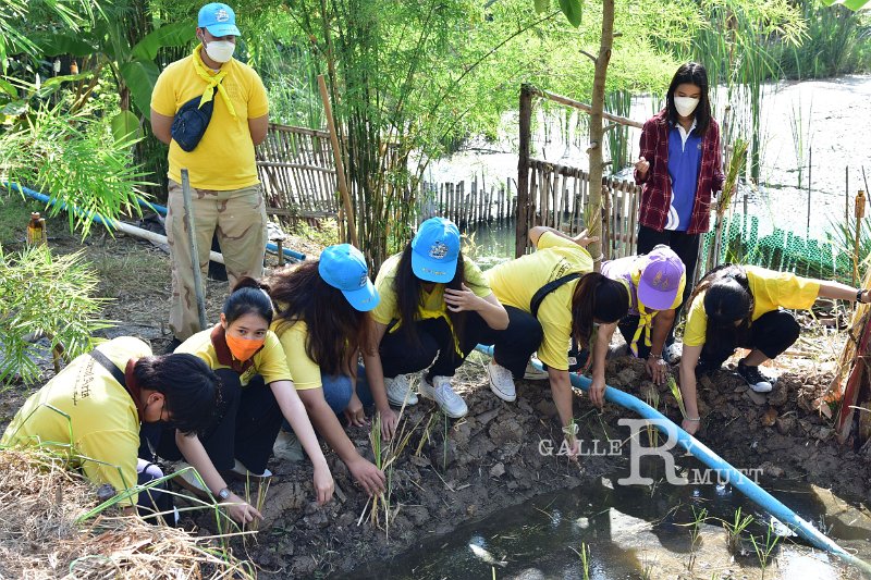 20211203-RmuttVolunteer-073.JPG