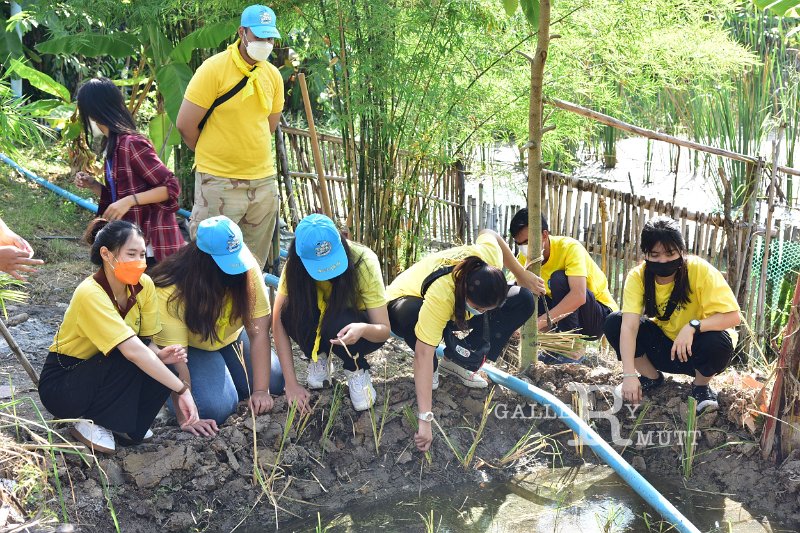 20211203-RmuttVolunteer-077.JPG