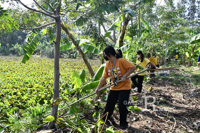 20211203-RmuttVolunteer-122.JPG