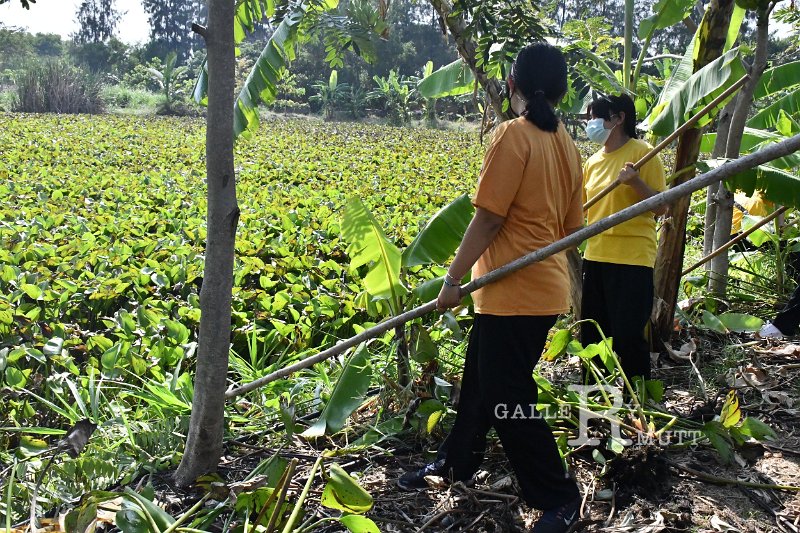 20211203-RmuttVolunteer-127.JPG