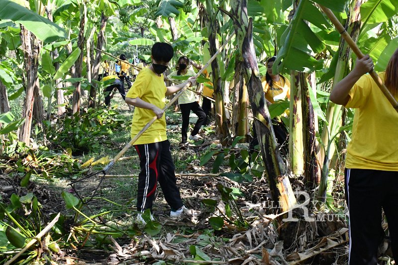 20211203-RmuttVolunteer-146.JPG
