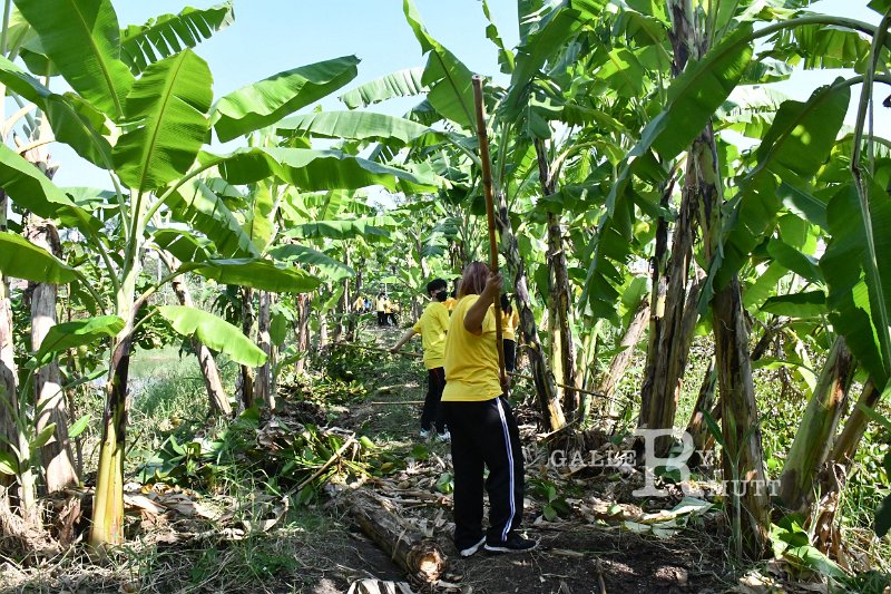 20211203-RmuttVolunteer-148.JPG