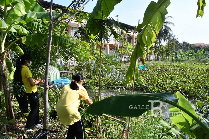 20211203-RmuttVolunteer-177.JPG