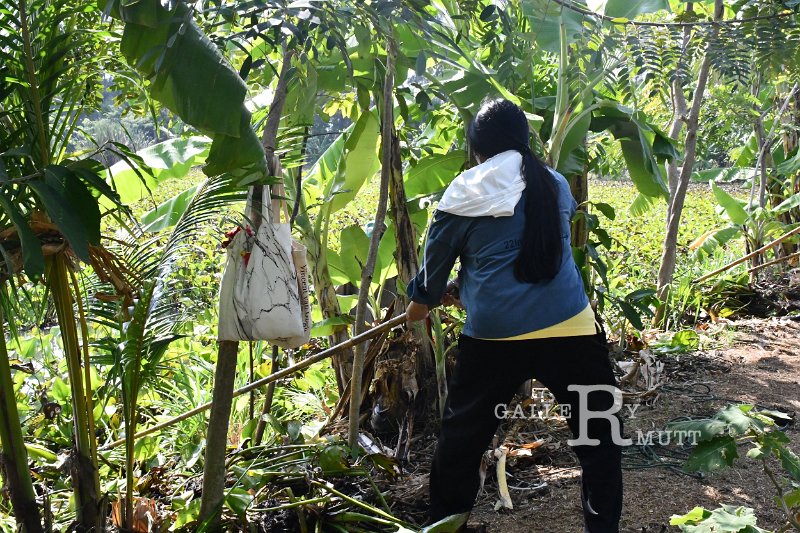 20211203-RmuttVolunteer-179.JPG