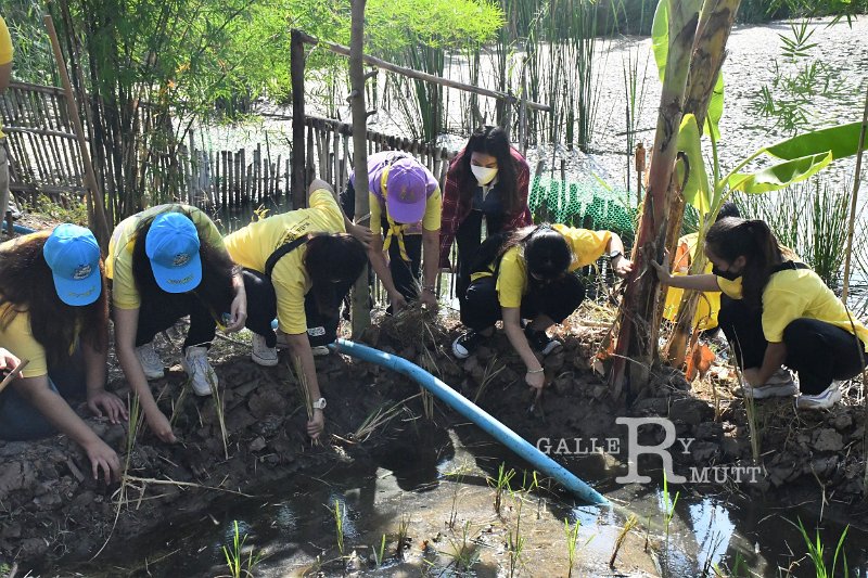 20211203-RmuttVolunteer-186.JPG