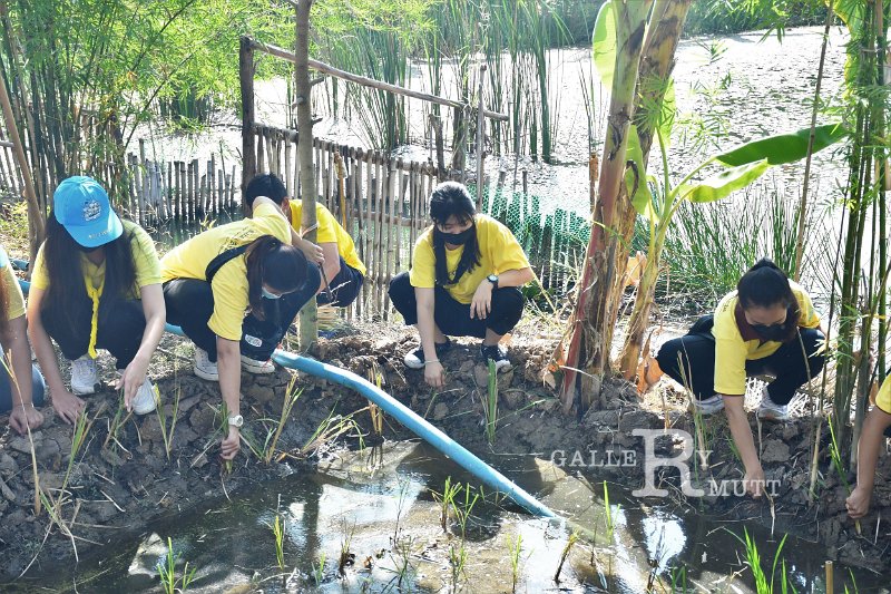 20211203-RmuttVolunteer-187.JPG