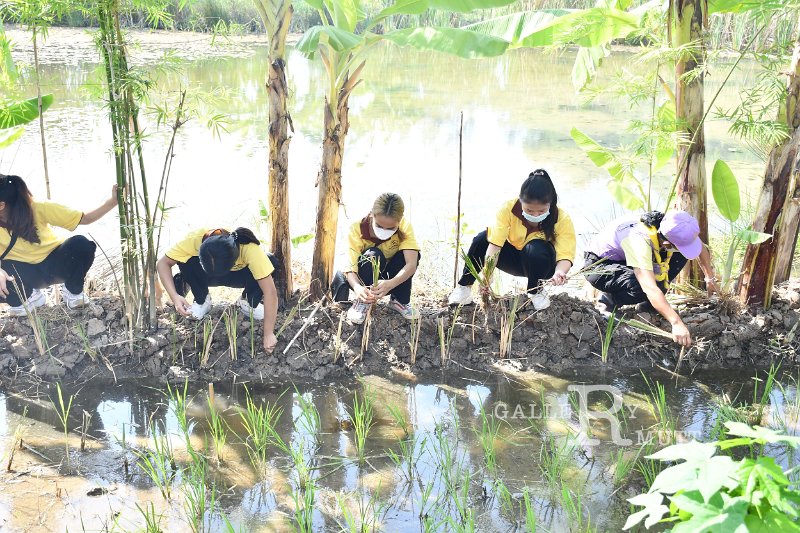 20211203-RmuttVolunteer-191.JPG