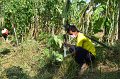 20211203-RmuttVolunteer-053
