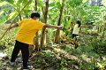 20211203-RmuttVolunteer-065