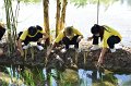 20211203-RmuttVolunteer-074