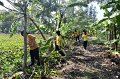 20211203-RmuttVolunteer-124