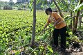 20211203-RmuttVolunteer-126