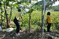 20211203-RmuttVolunteer-132