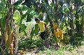 20211203-RmuttVolunteer-151