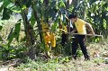 20211203-RmuttVolunteer-158