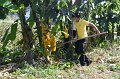 20211203-RmuttVolunteer-160