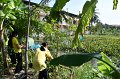 20211203-RmuttVolunteer-177