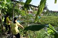 20211203-RmuttVolunteer-178