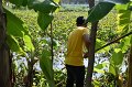 20211203-RmuttVolunteer-181