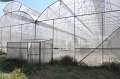 20211216-MOUCannabisProcessing-222