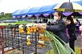 20220801-RaisingTheMainPillar-250