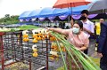 20220801-RaisingTheMainPillar-252