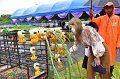 20220801-RaisingTheMainPillar-256