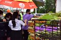 20220801-RaisingTheMainPillar-261