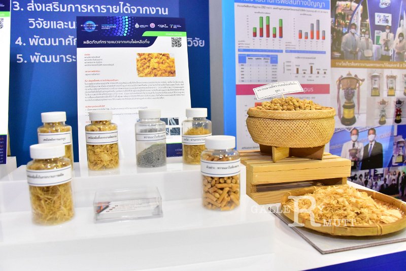 20221019-RmuttInnovative-269.JPG