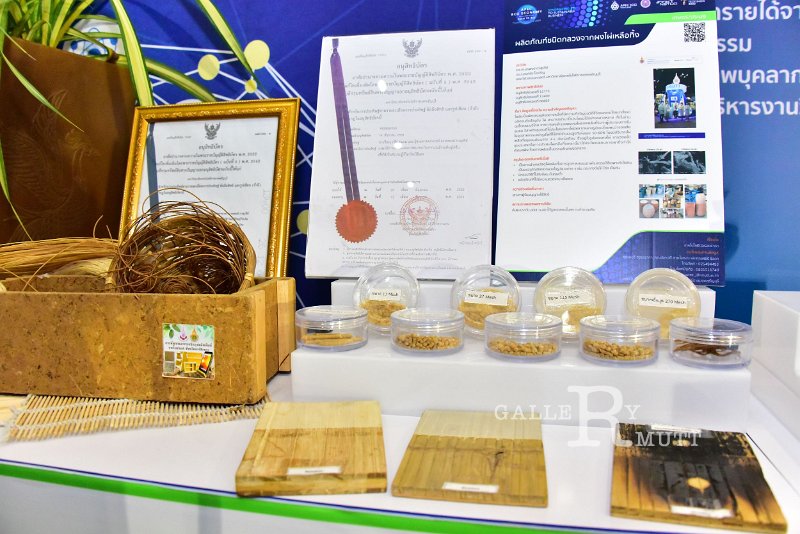 20221019-RmuttInnovative-270.JPG